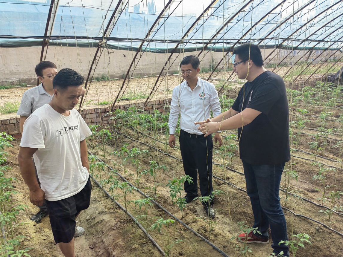说明: https://news.nxu.edu.cn/__local/8/A4/2D/6F017BC6A5921953E4C227441C8_8C231B18_645871.jpg